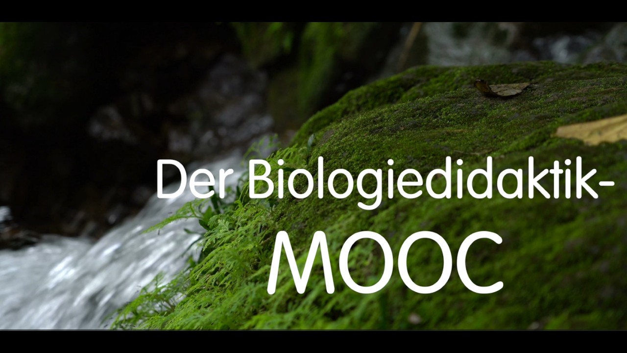 Content Thumbnail Image