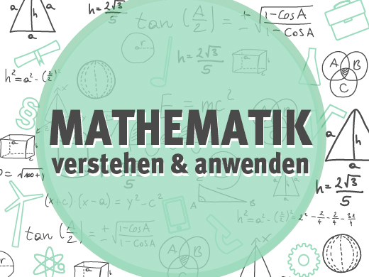 Mathematik-Ringvorlesung: Mathematik verstehen und anwenden