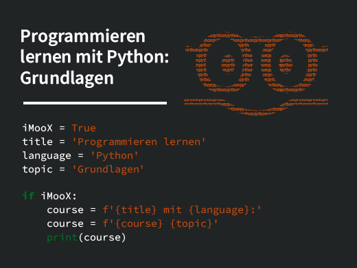 Programmieren lernen mit Python: Grundlagen