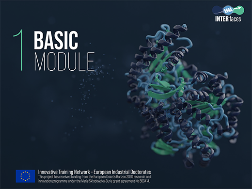 Maßgeschneiderte Materialien und Enzyme für industrielle Prozesse – Basismodul