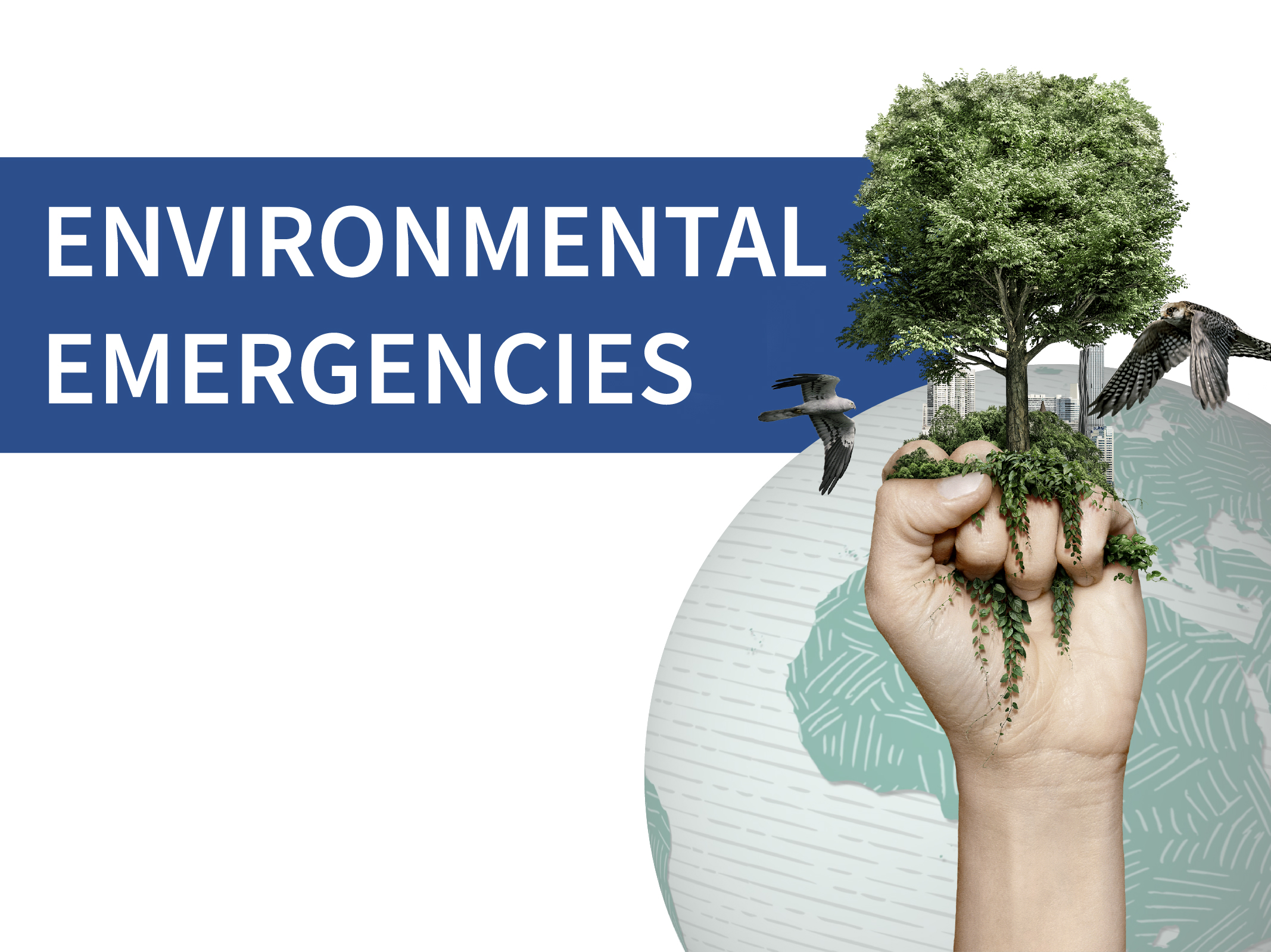Environmental Emergencies