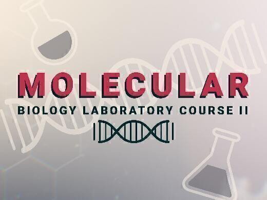 MOL.601_1UF Molekularbiologie Laborkurs II